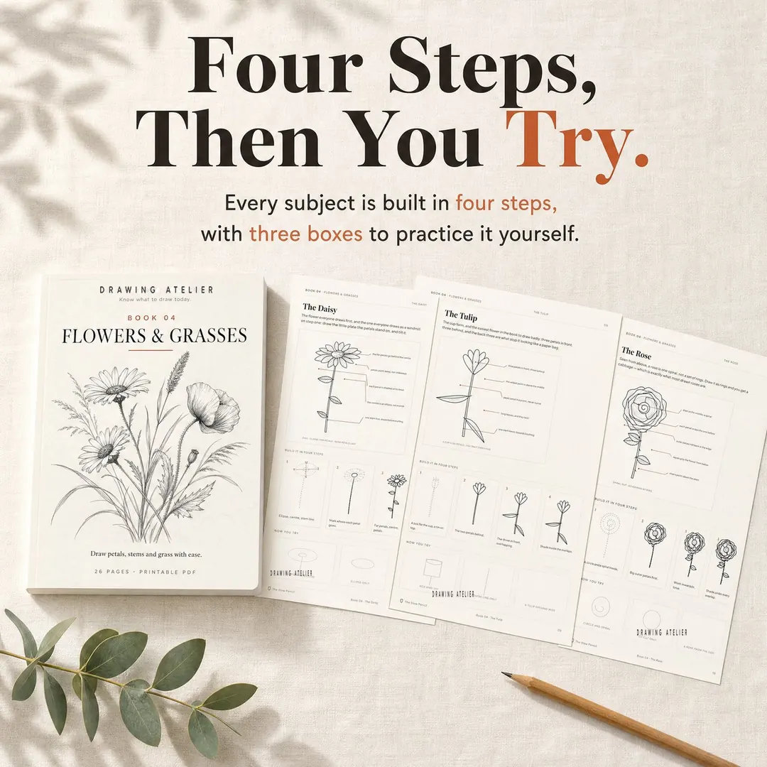 An open flowers and grasses workbook showing four-step daisy, tulip, and rose drawings with spaces to practice